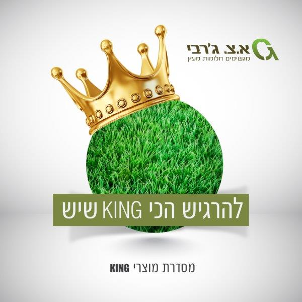 דשא סינטטי מסדרת KING דשא סינטטי מסדרת KING