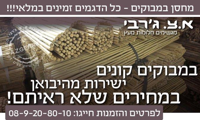 במבוק מושחל במבצע מיוחד