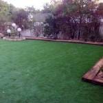 IMG-20140811-WA0021-150x150 דוד צדוק המלצה  
