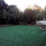 IMG-20140811-WA0024-150x150 דוד צדוק המלצה  