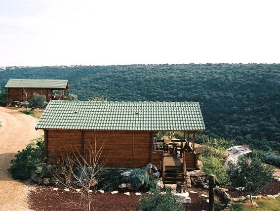 CLAY SHINGLES CLAY SHINGLES