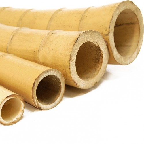 bamboo-poles-natural-side1-500x500 מוטות במבוק  