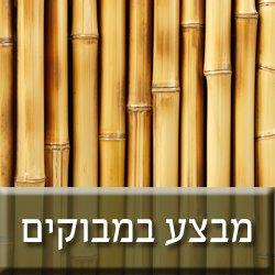 מבצע במבוקים