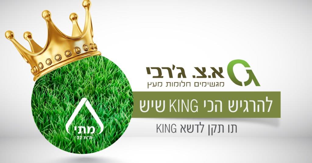 001 דשא סינטטי מסדרת KING  